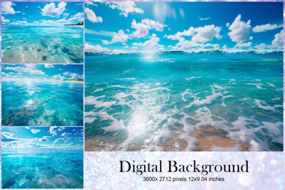 Download Shells Sea Beach Background Wallpaper - Wallpaper Collection