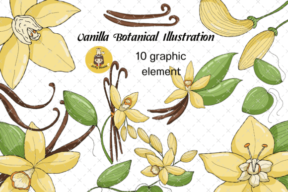 Download Set of Vanilla Flower Botanical Clip Art - Clip art Collection