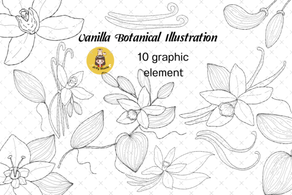 Download Set of Vanilla Flower Botanical Clip Art - Clip art Collection