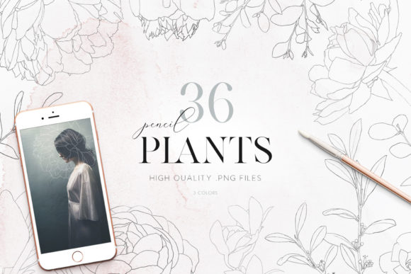 Download Botanical Clip Art, Line Art Clipart - Clip art Collection