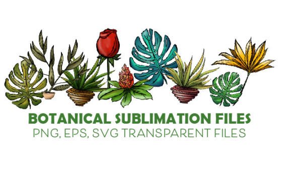 Download Botanical Clip Art Transparent PNG - Clip art Collection